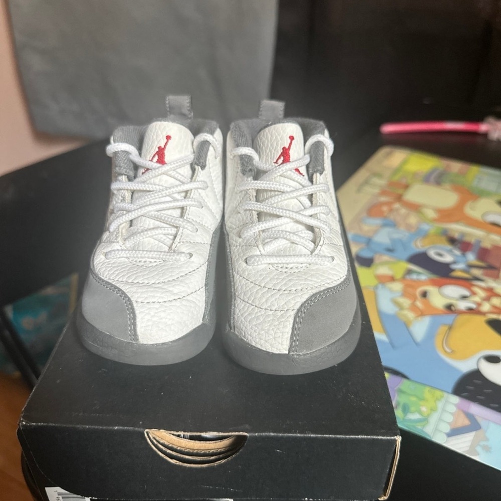 Jordan retro 12s only